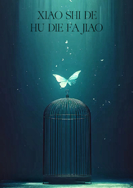 消失的蝴蝶发夹(H)