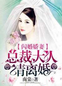 闪婚娇妻:总裁大人请离婚
