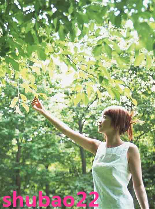 ��Ҫ������