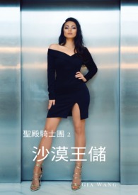 沙漠王儲~聖殿騎士團 2