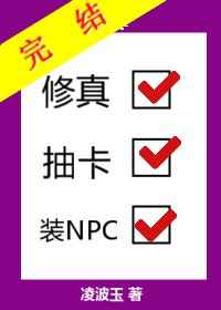 ����鿨װNPC