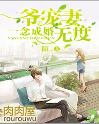 一念成婚:爷宠妻无度